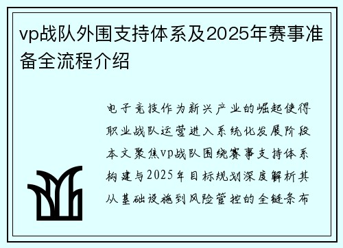 vp战队外围支持体系及2025年赛事准备全流程介绍